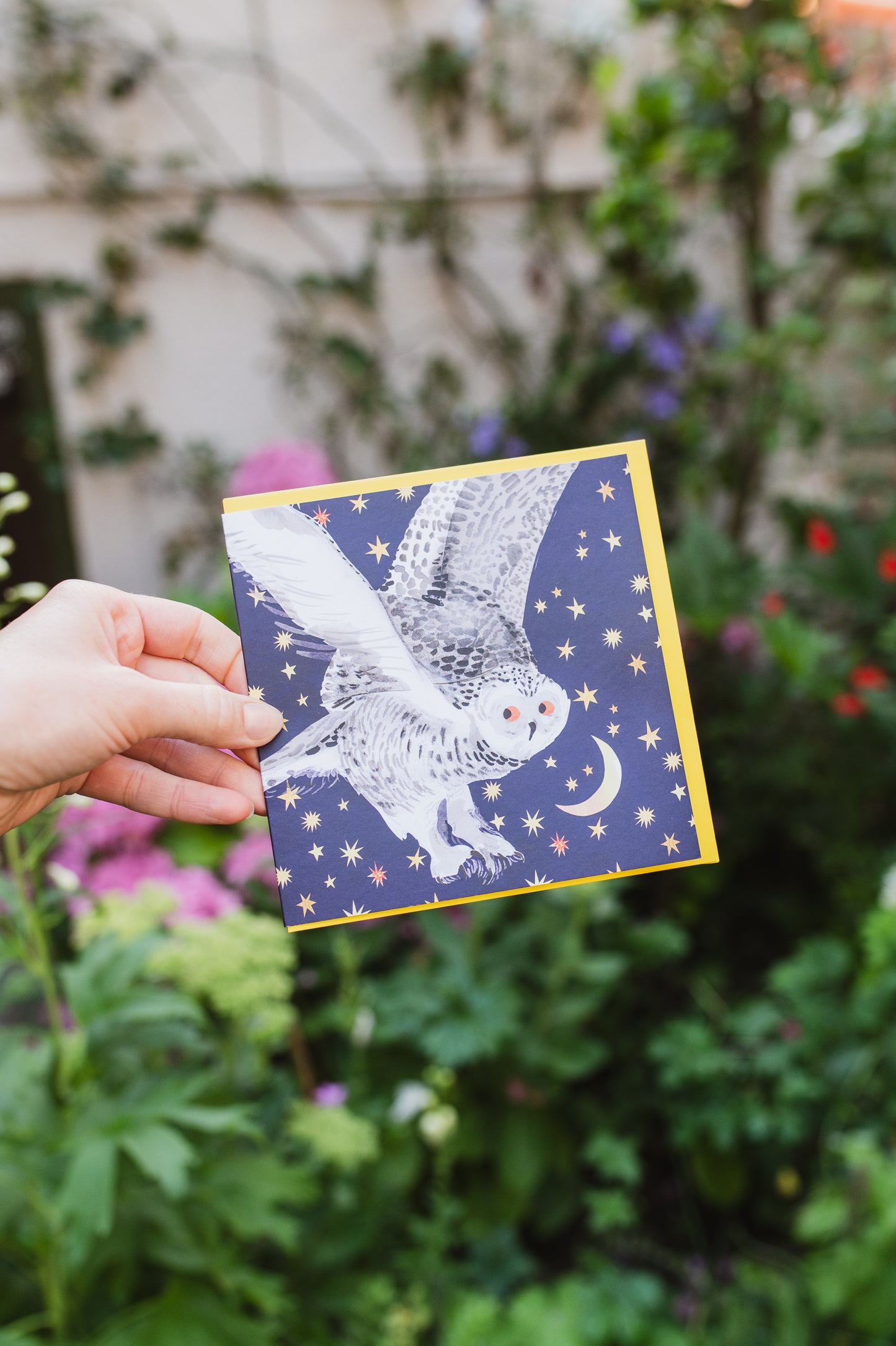 Starry Snowy Owl Greetings Card