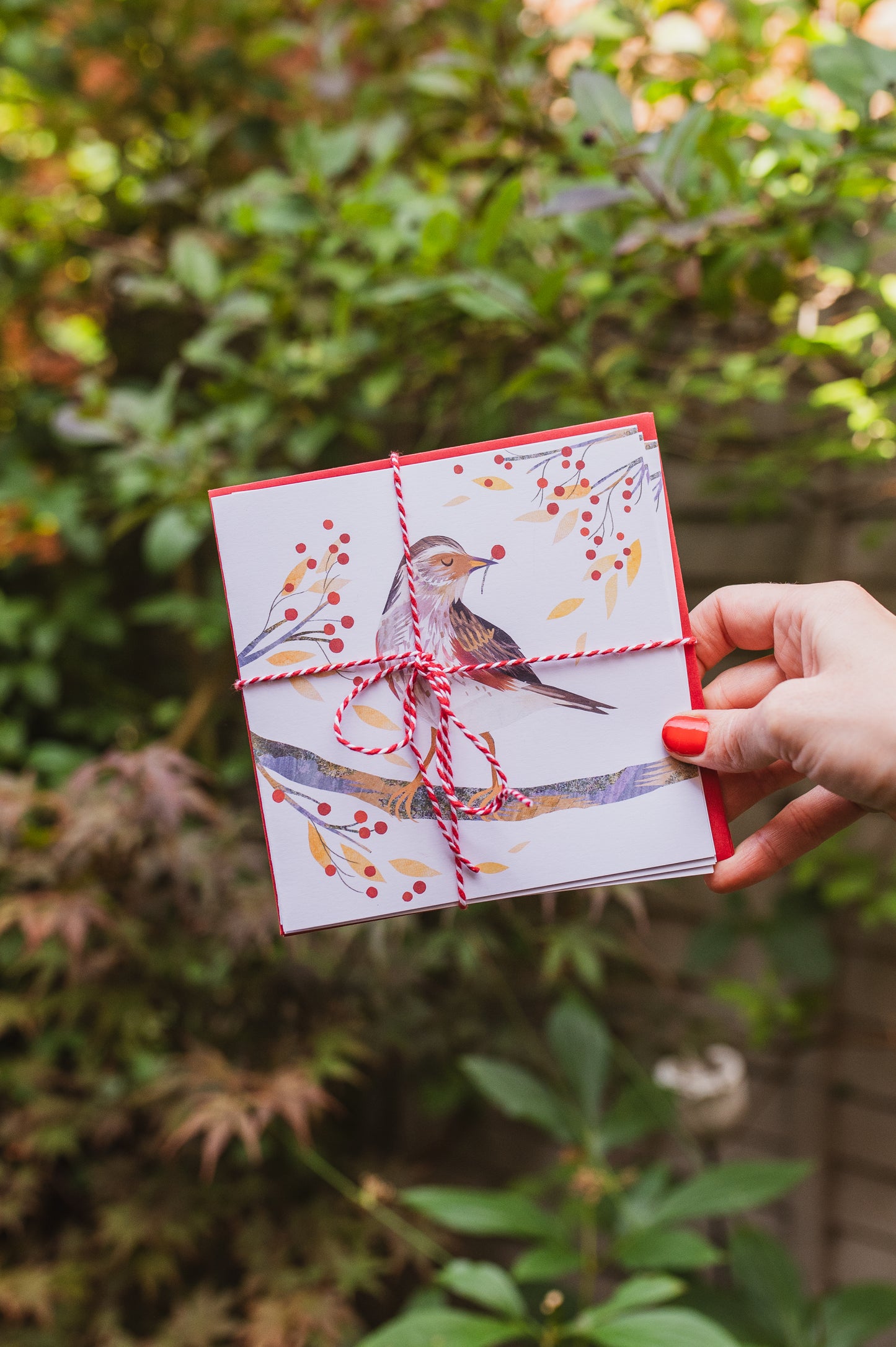 Redwing Christmas Card