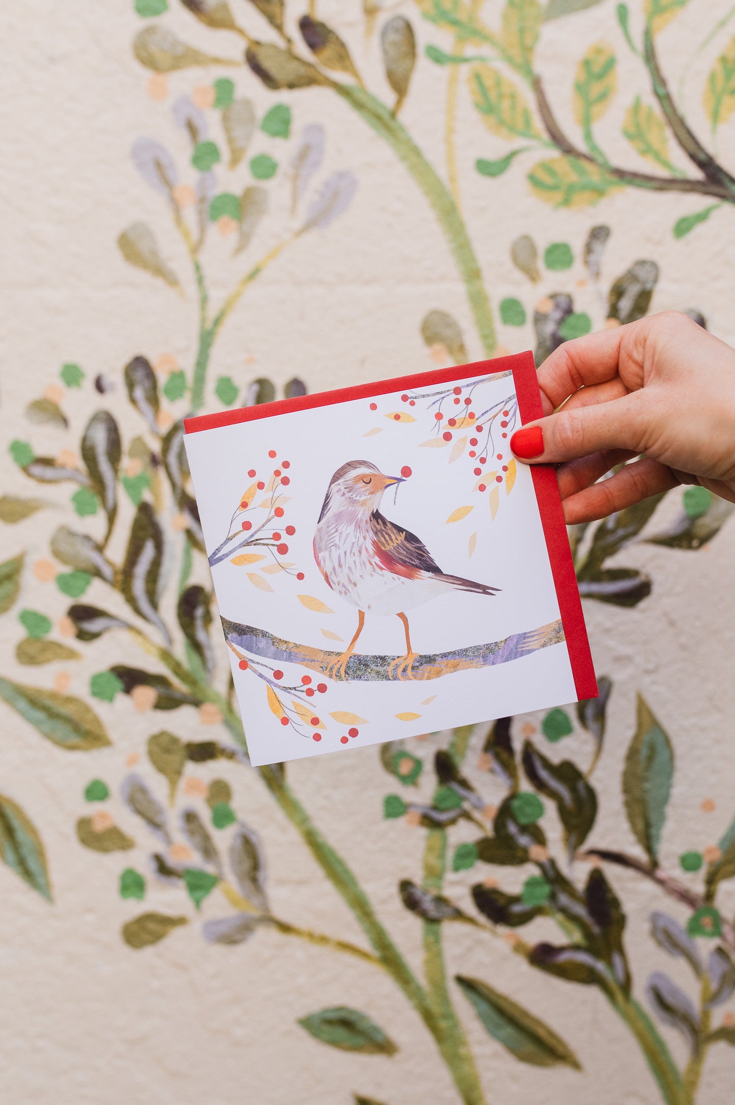Redwing Christmas Card
