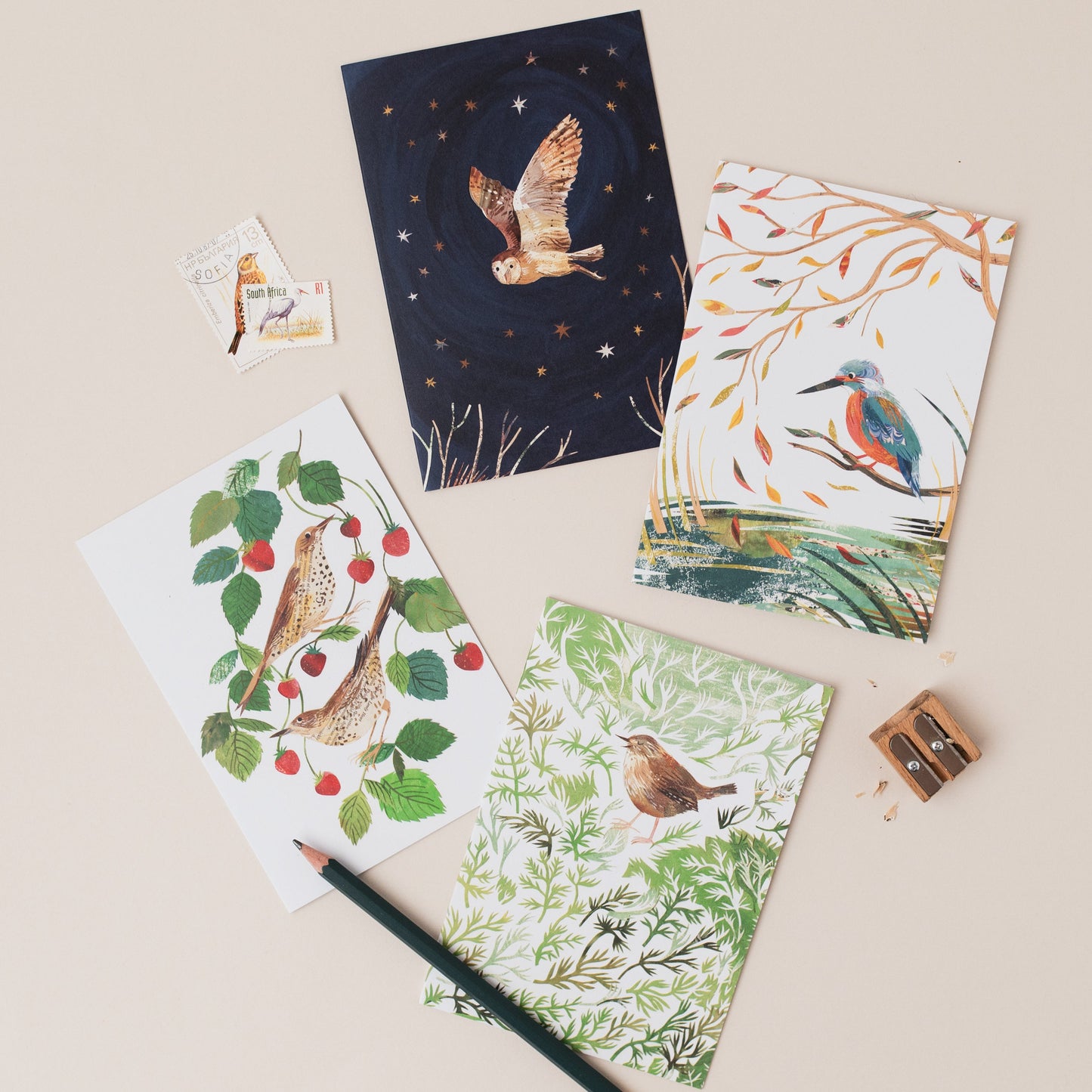 Chamomile Wren Greetings Card