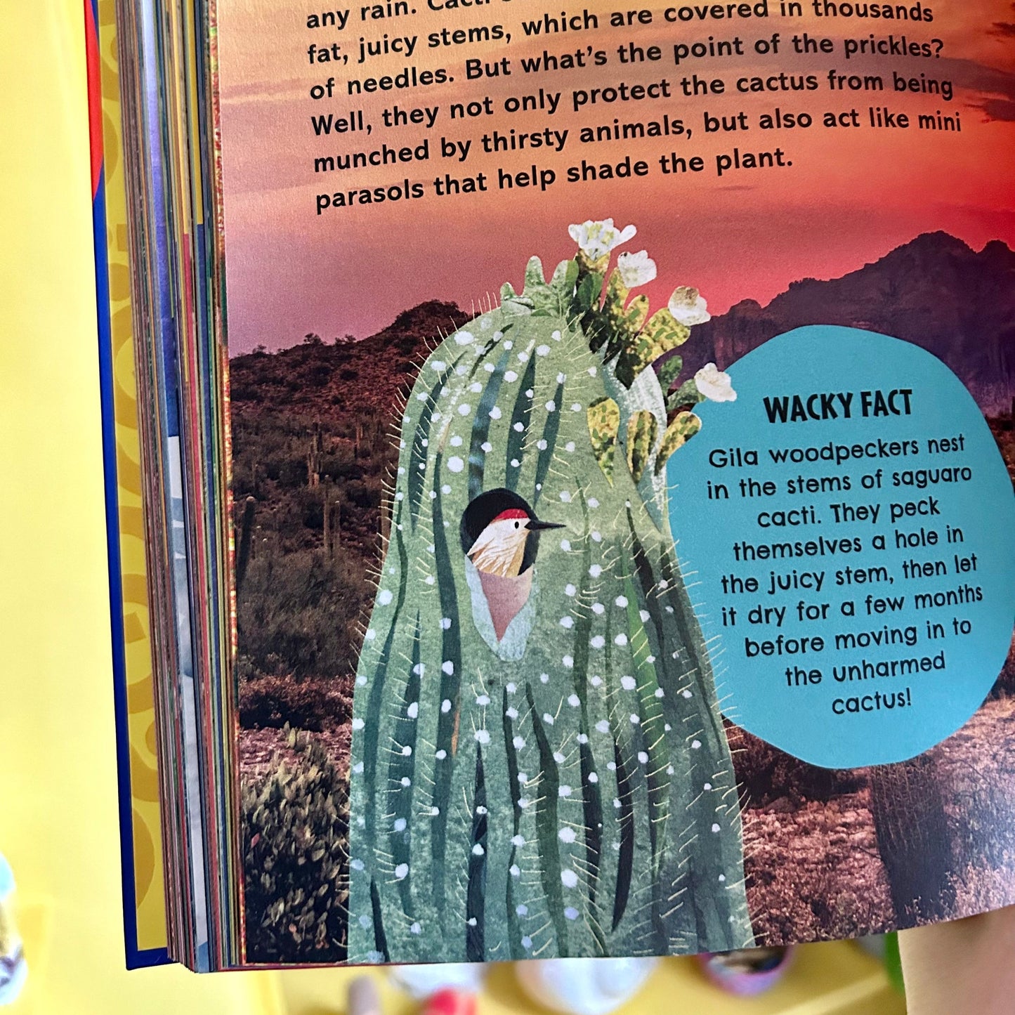 The First Big Book of How - Gorsemoor Primary School