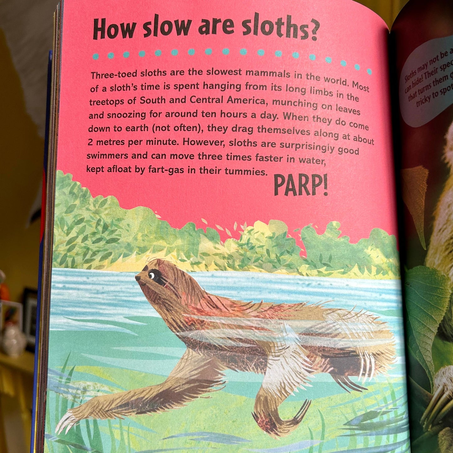 The First Big Book of How - Gorsemoor Primary School