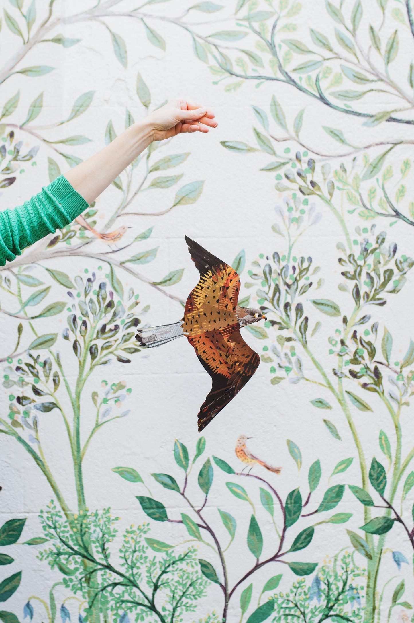 Kestrel Decorative Bird Art