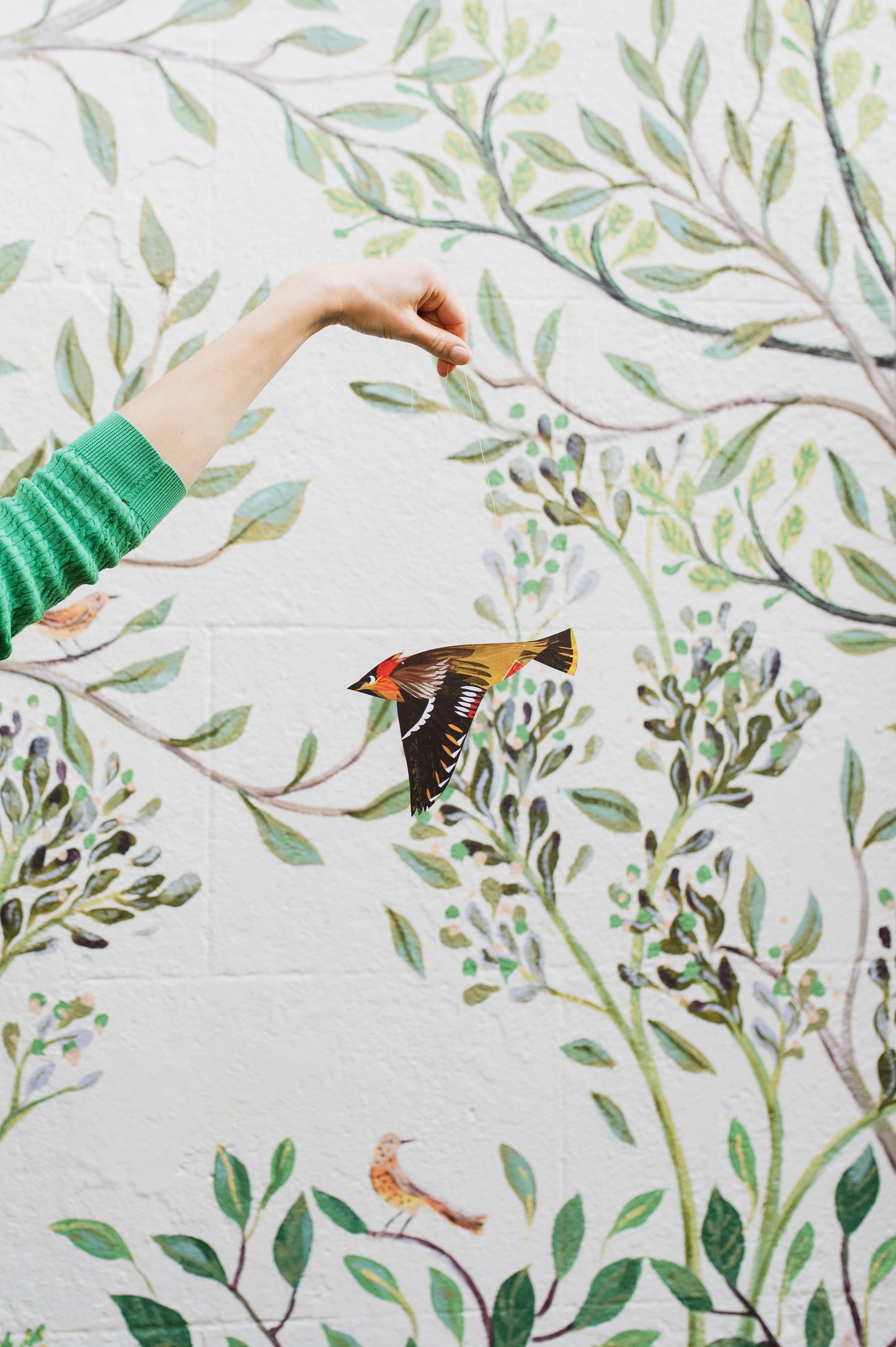 Waxwing Decorative Bird Art