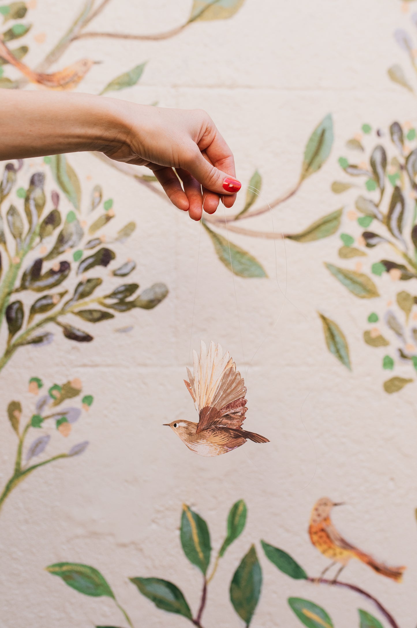 Wren Decorative Bird Art