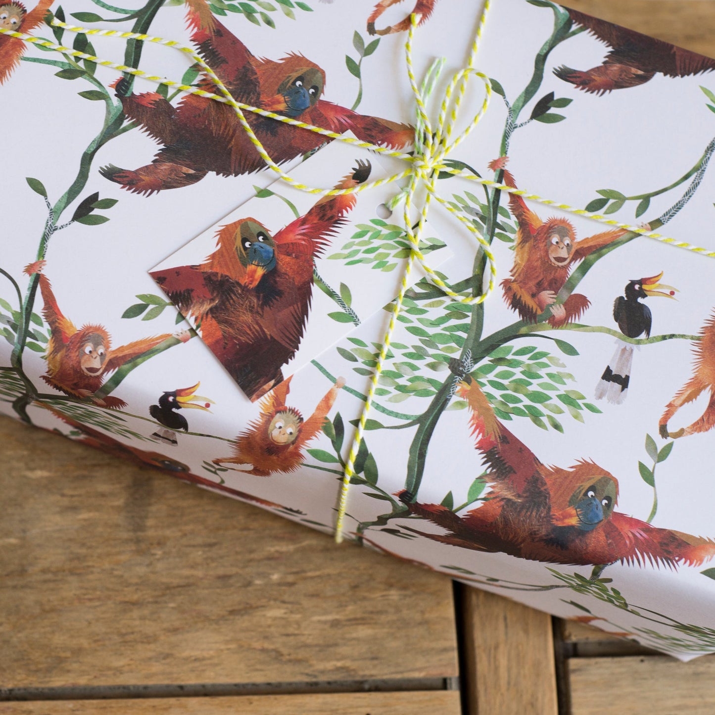 Swinging Orangutans Luxury, 100% Recycled Wrapping Paper