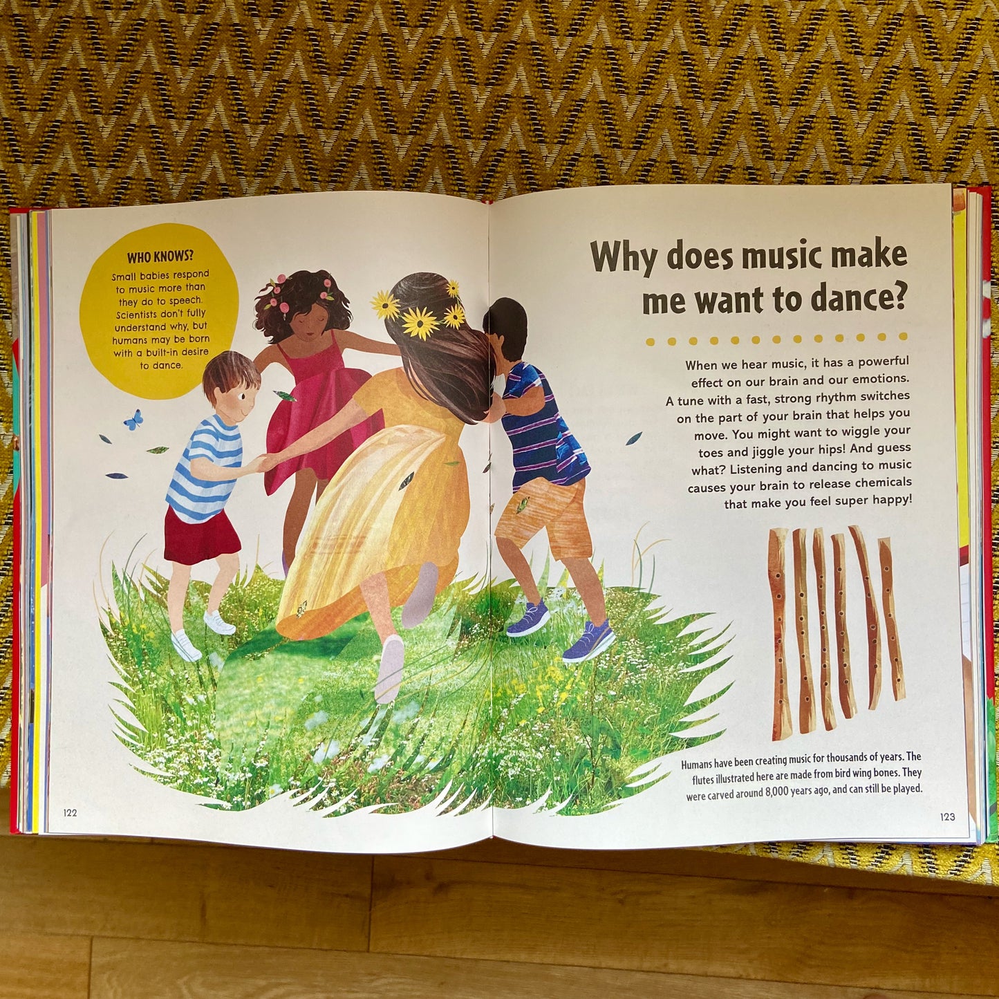 First Big Book of Why - Gorsemoor Primary School
