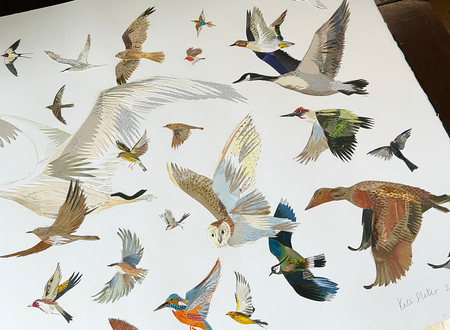 26 Birds Illustration Print