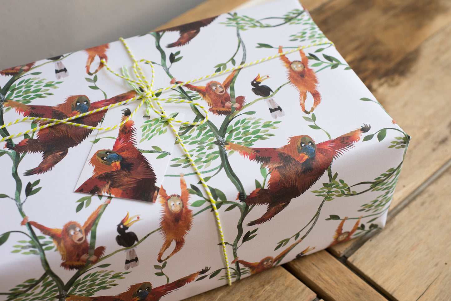 Wild Patterns Gift Wrap Pack / Alternative Christmas - Luxury, 100% Recycled Wrapping Paper
