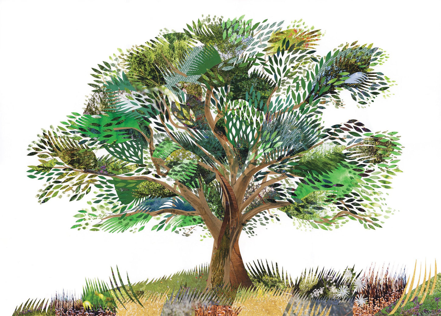 Oak Tree - Fine Art Print