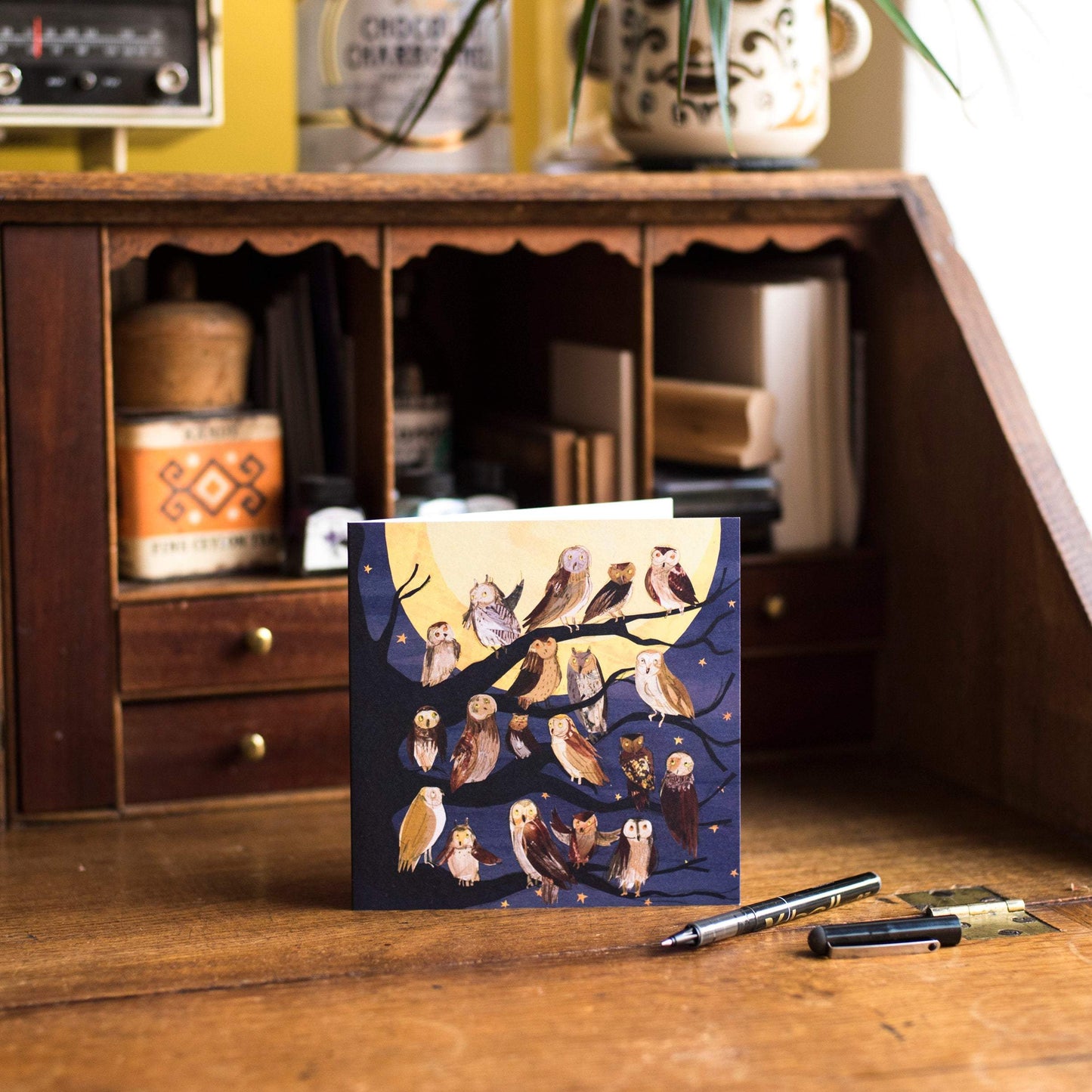 Night Owls Greetings Card