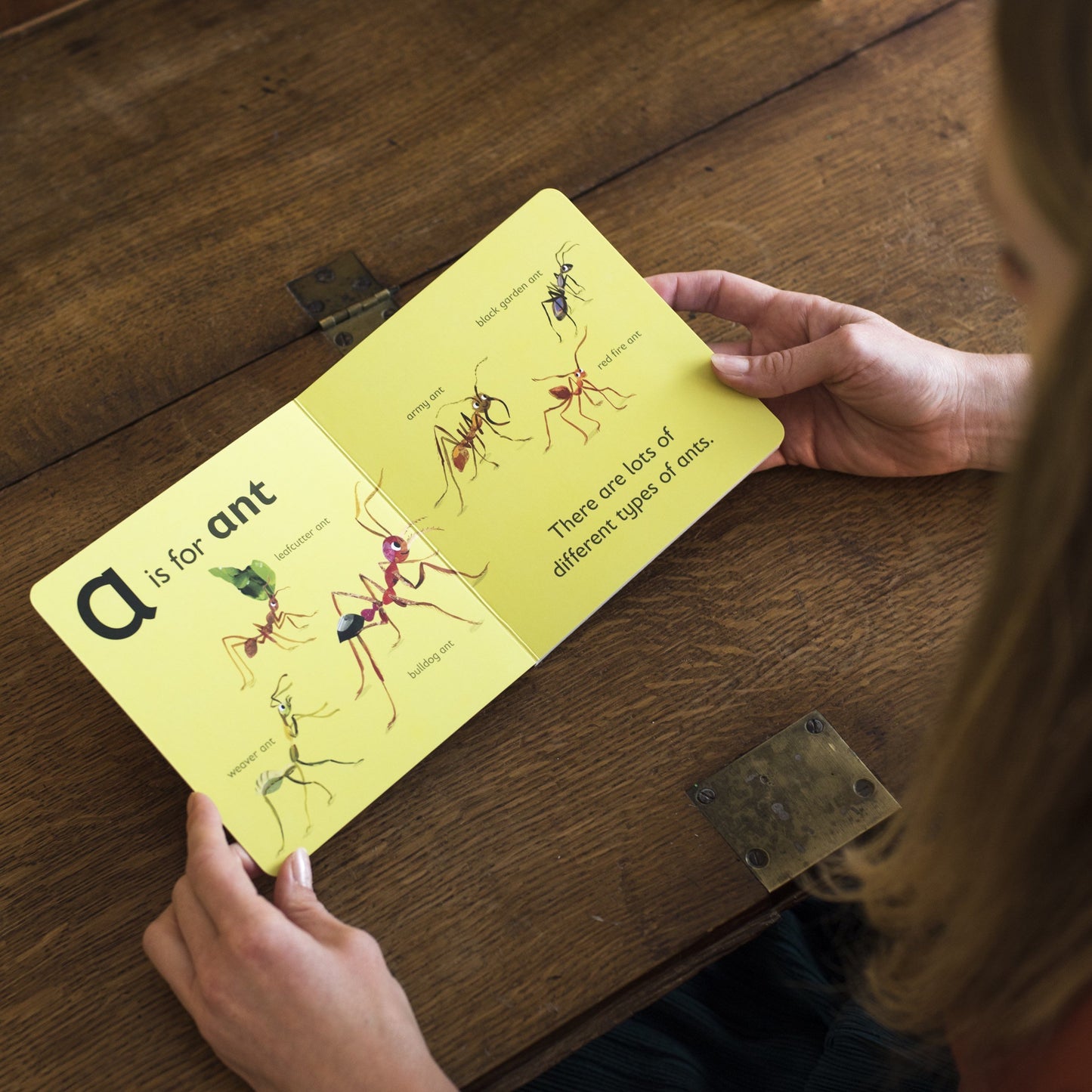 A is for Ant - Signed Board Book for Babies and Toddlers