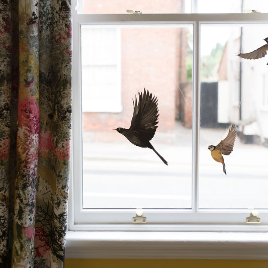 Blackbird Decorative Bird Art