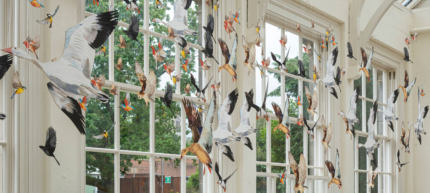 Blackbird Decorative Bird Art