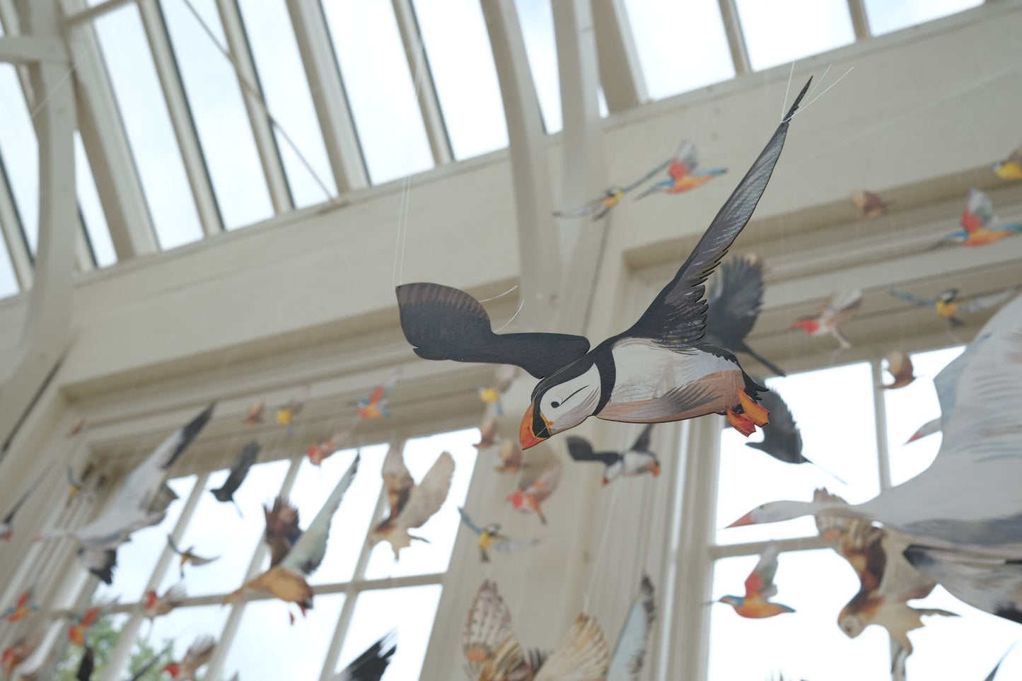 Blackbird Decorative Bird Art