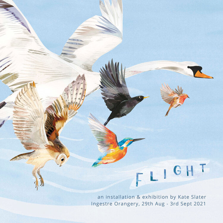 FLIGHT AT INGESTRE ORANGERY