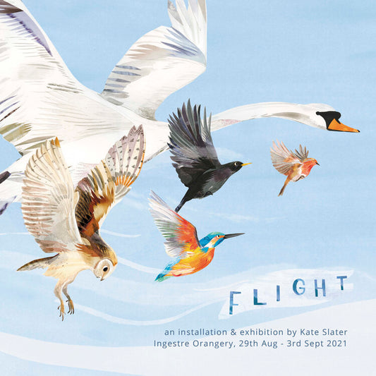 FLIGHT AT INGESTRE ORANGERY