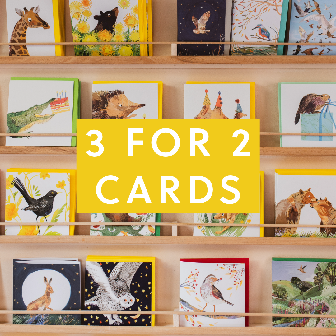 Eco Greetings Cards