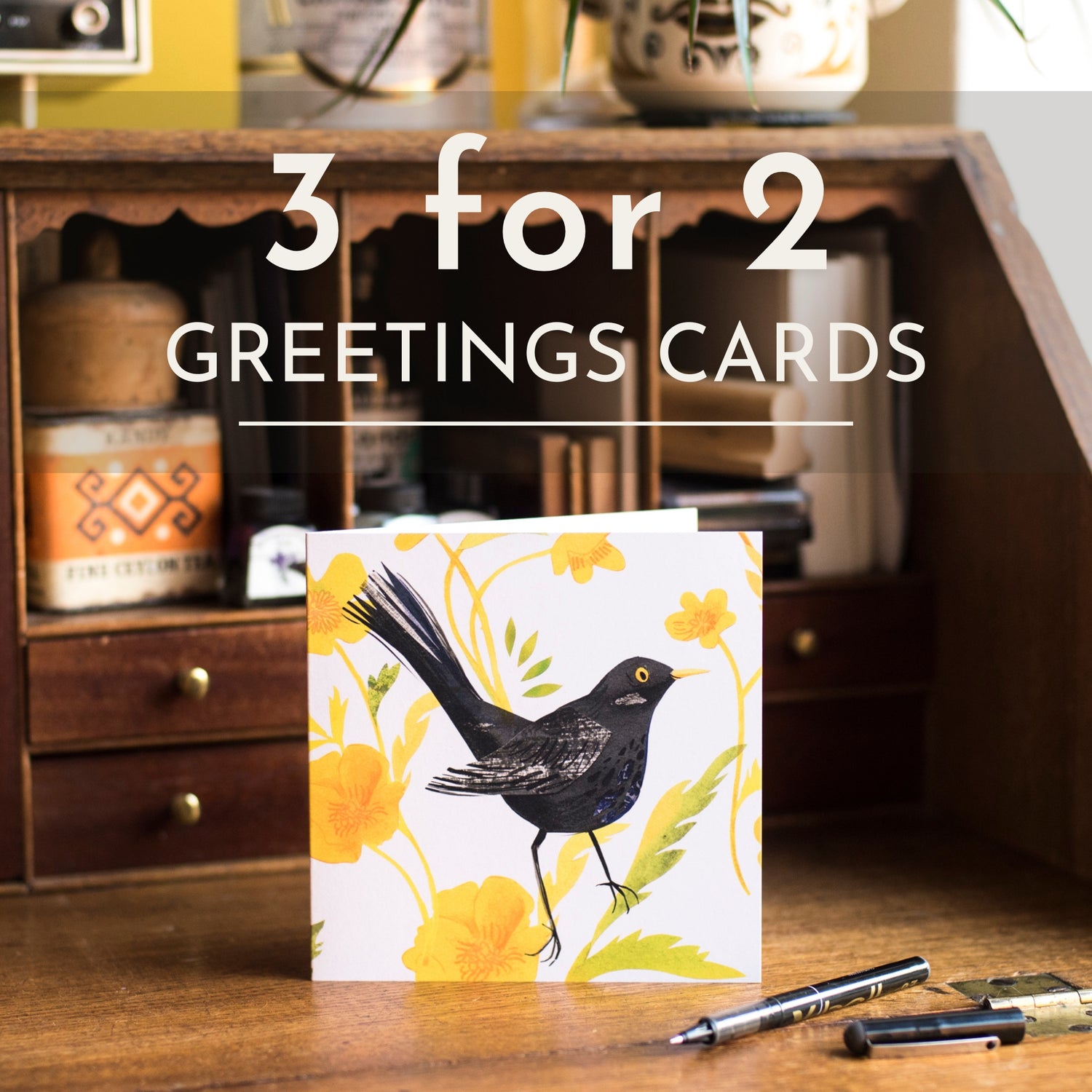 Greetings Cards - 100% Recycled