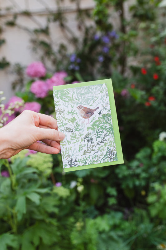 Chamomile Wren Greetings Card