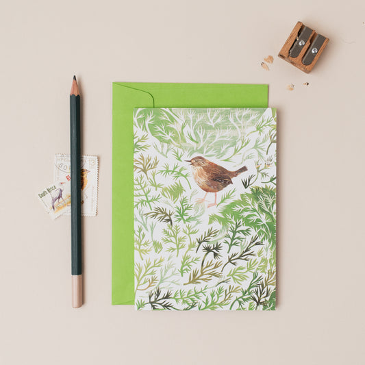 Chamomile Wren Greetings Card