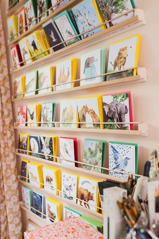 Surprise Pack of Greetings Cards