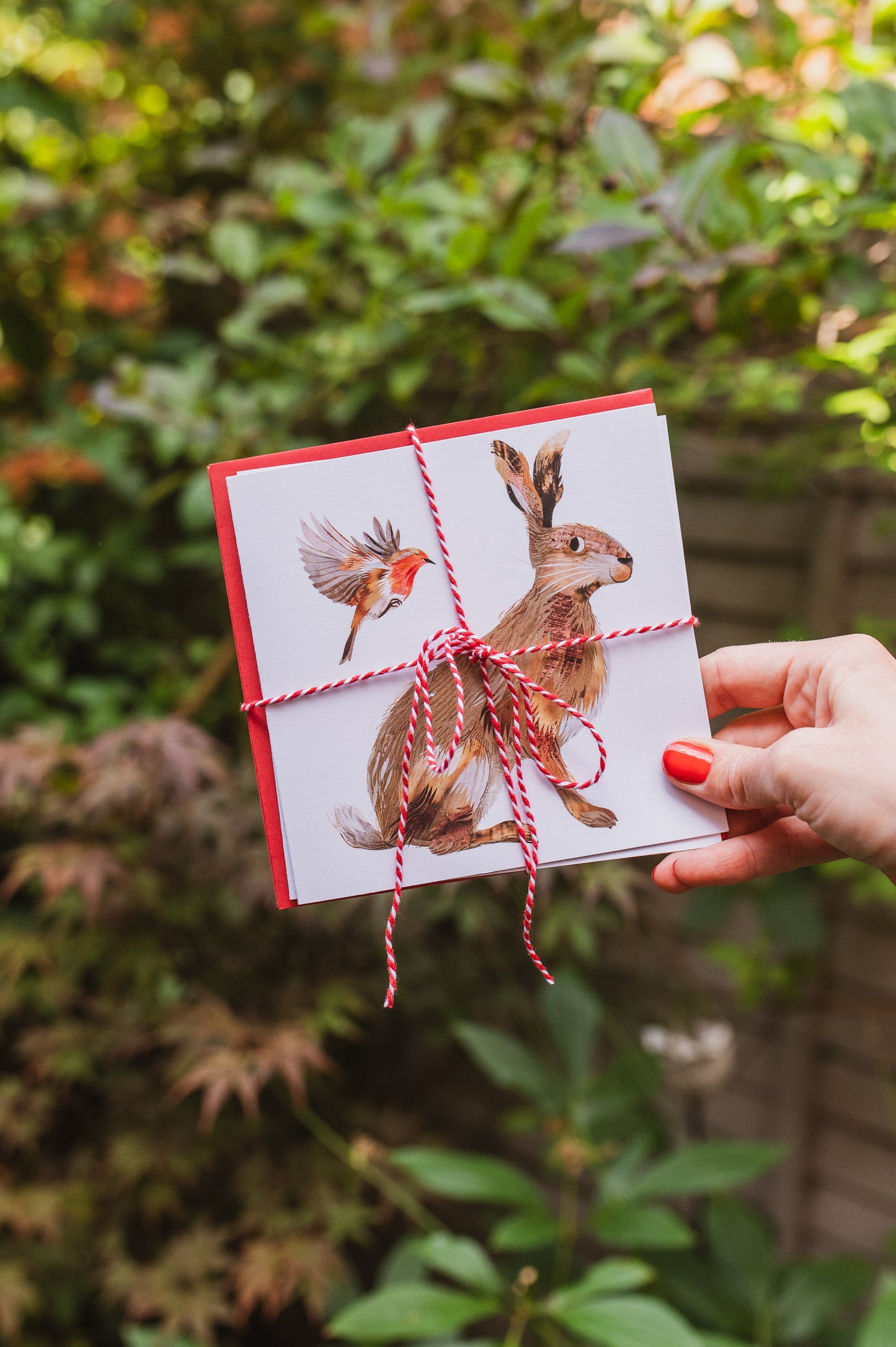 Hare and Robin Christmas Card