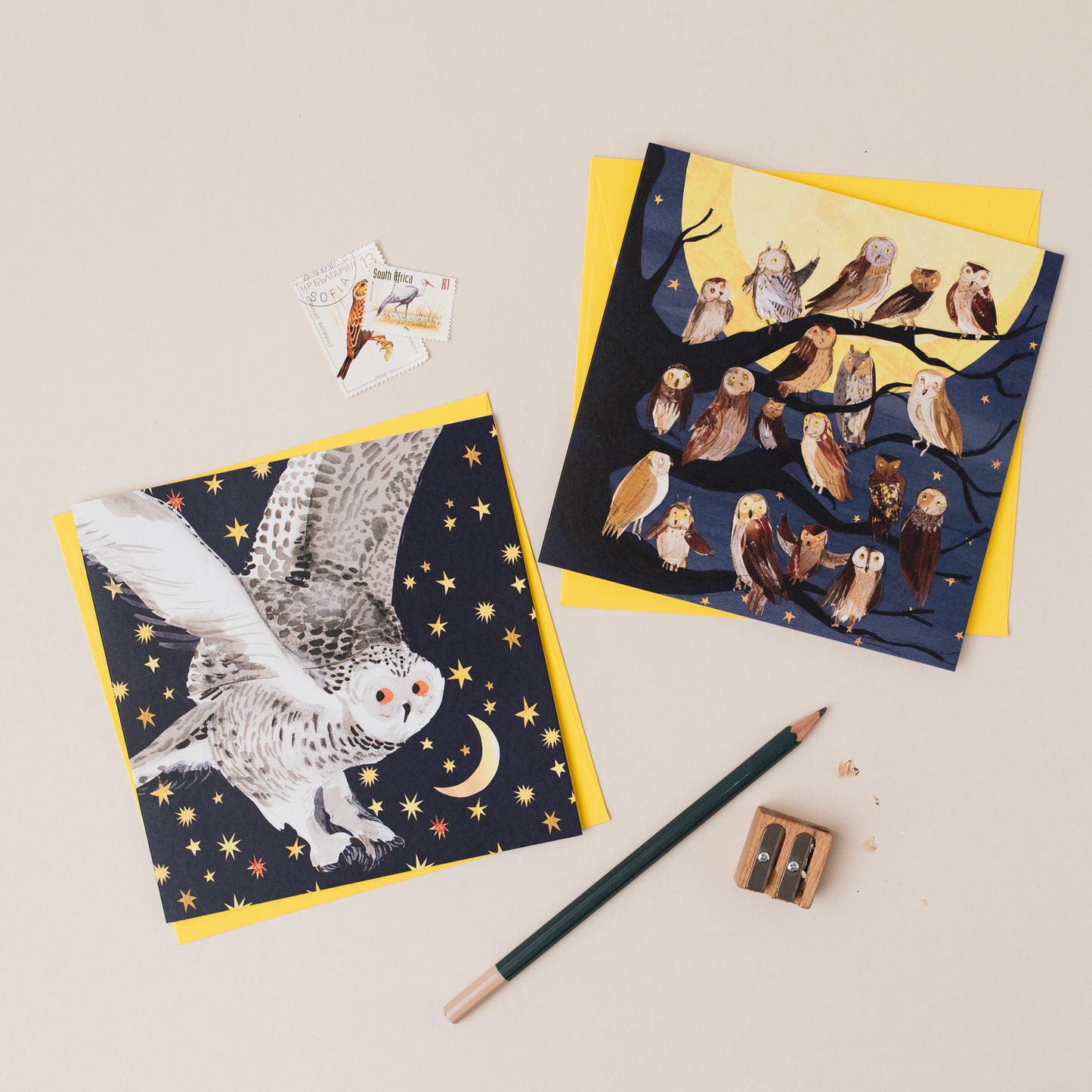 Starry Snowy Owl Greetings Card