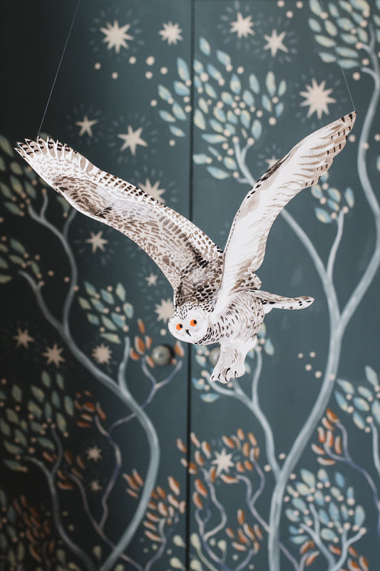 Snowy Owl Decorative Bird Art