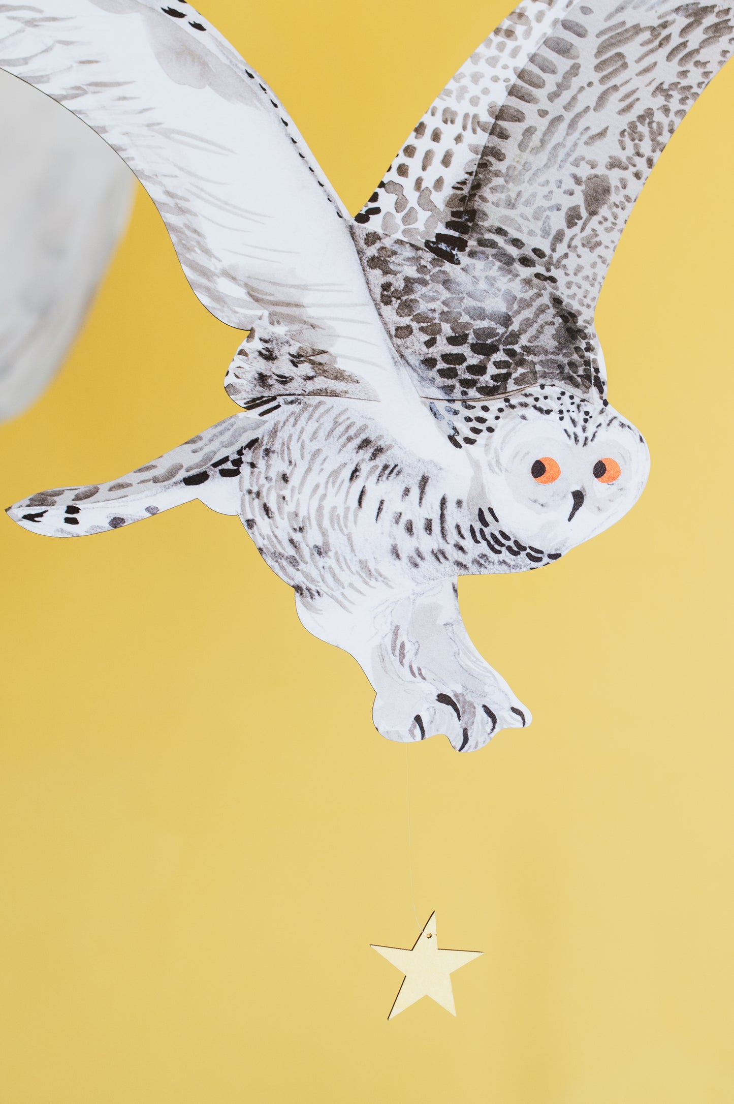 Snowy Owl Decorative Bird Art