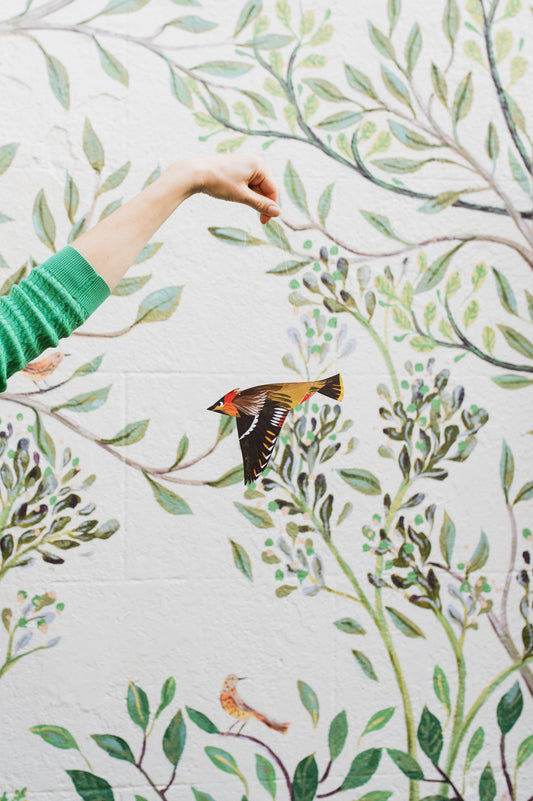 Waxwing Decorative Bird Art