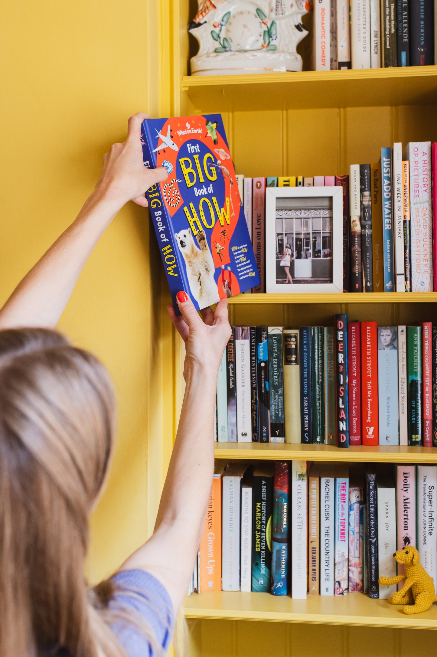 Send a Christmas Gift - Signed Children's Book Gift Service