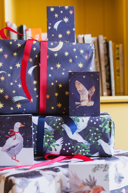 Winter Owl Mini Christmas Card (single card or pack)