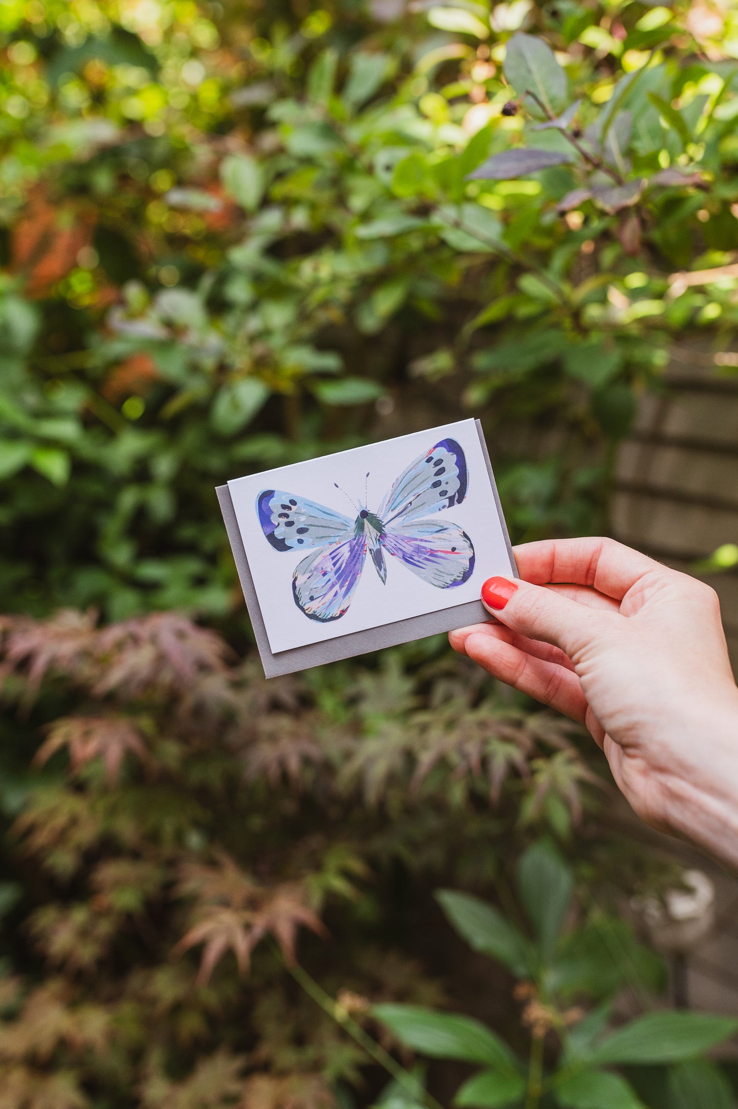 Butterly Mini Greetings Cards