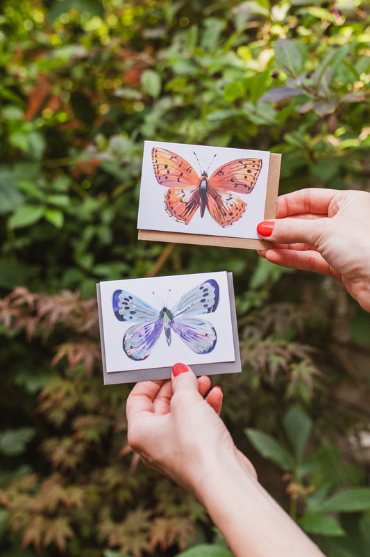 Butterly Mini Greetings Cards