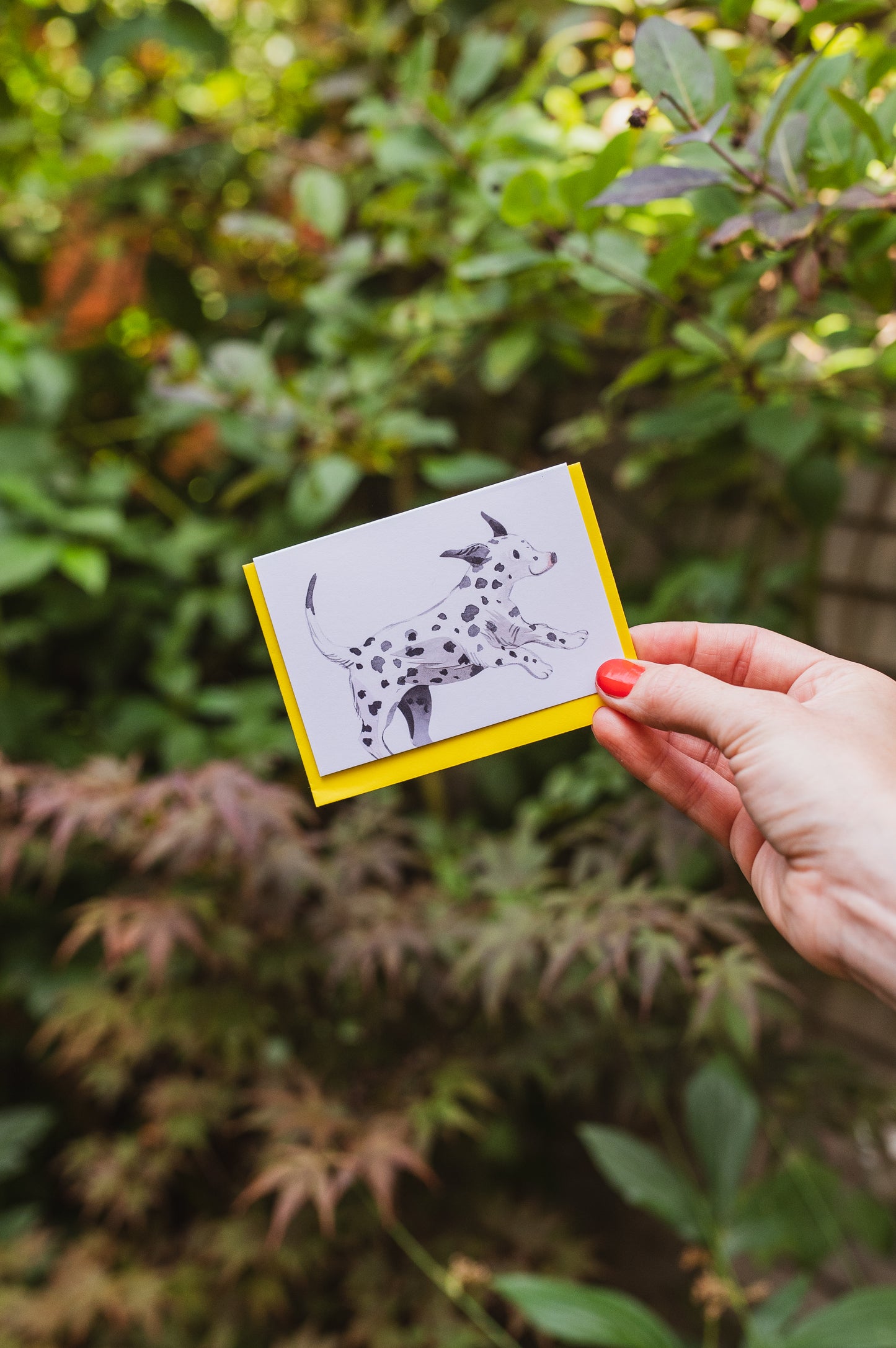 Dalmatian Puppy Mini Greetings Card