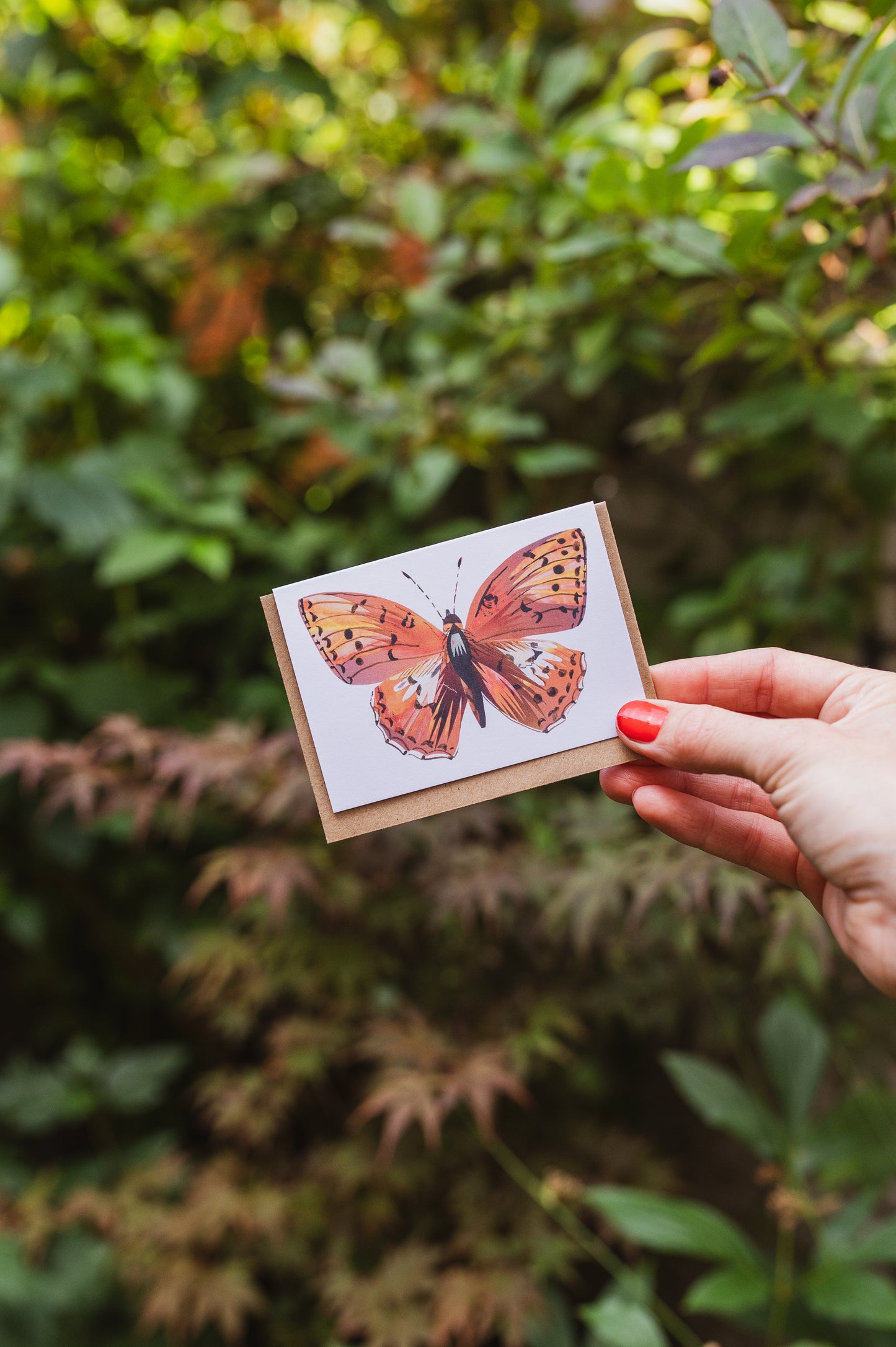 Butterly Mini Greetings Cards