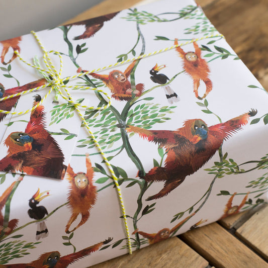 Close up of orangutan illustrated recycled wrapping paper