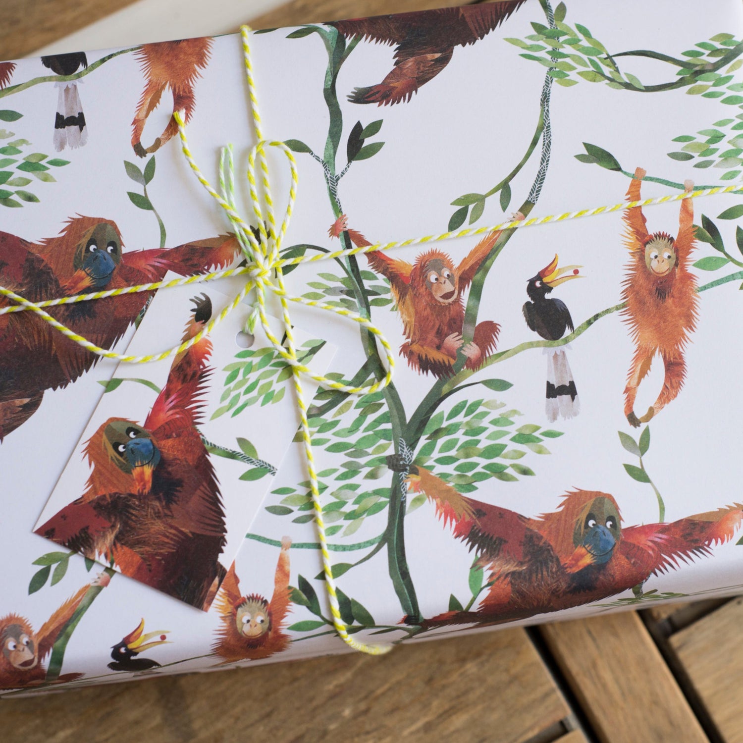 Orangutan illustration close up on wrapping paper