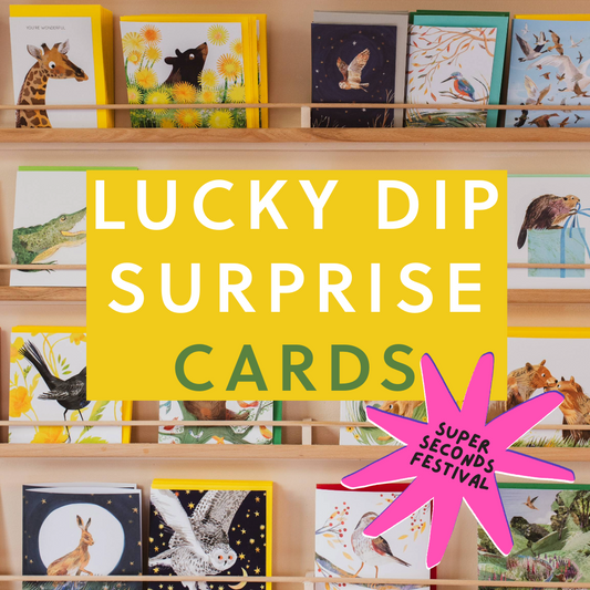SUPER SECONDS Surprise Pack of Greetings Cards