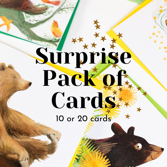 Surprise Pack of Greetings Cards