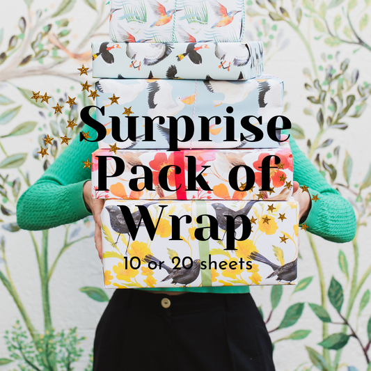 Suprise Pack of Luxury, 100% Recycled Wrapping Paper