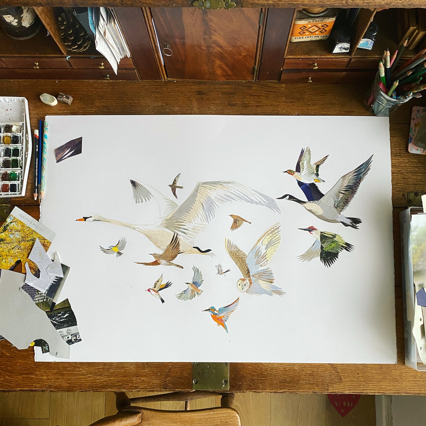 26 Birds Illustration Print