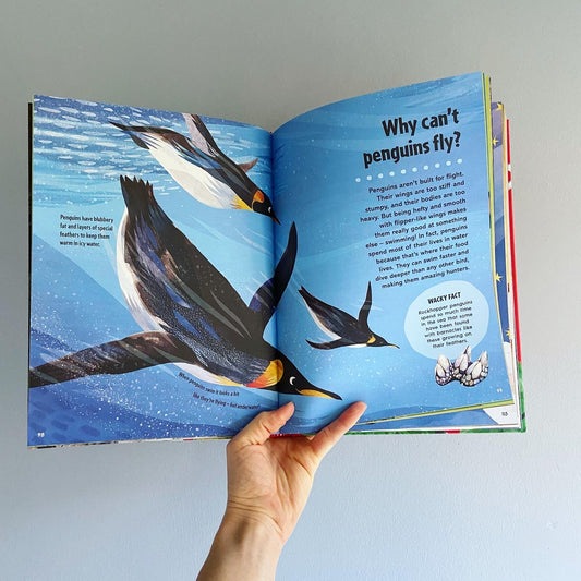 First Big Book of Why - Gorsemoor Primary School