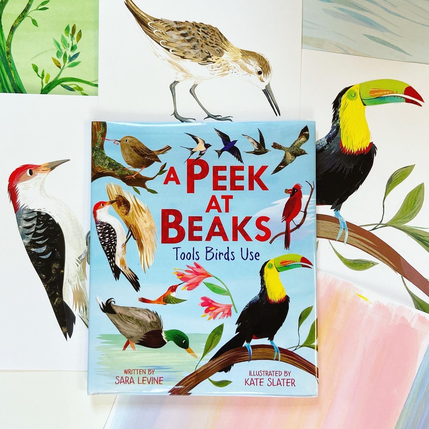 'A Peek at Beaks' Book - Signed Copy