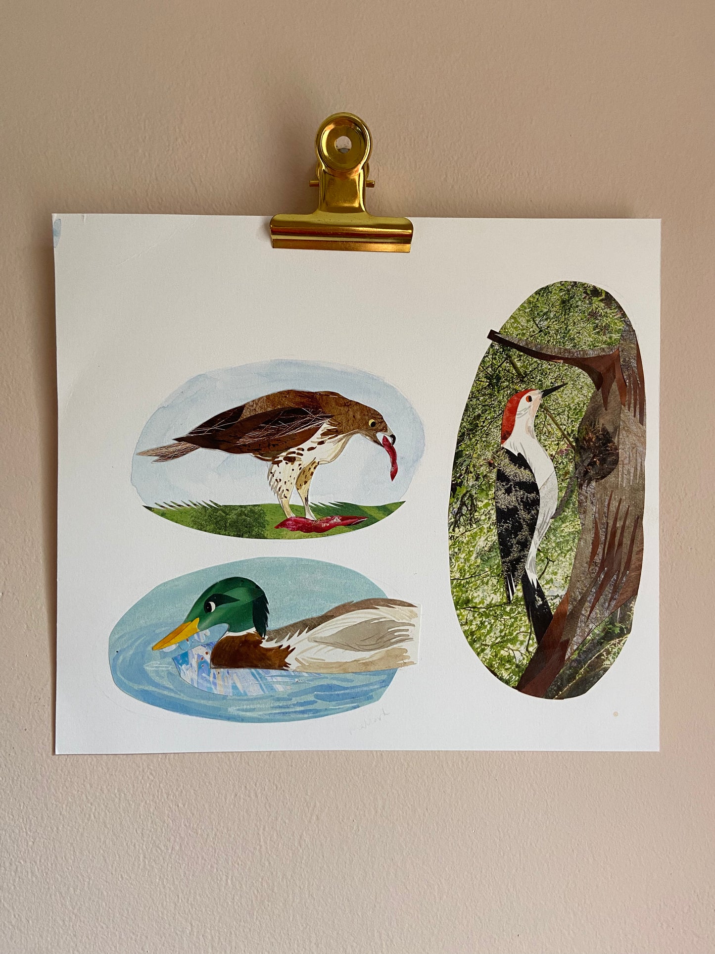 Art Sale - Woodpecker, Mallard and Hawk Vignettes - Original Mixed Media Illustration