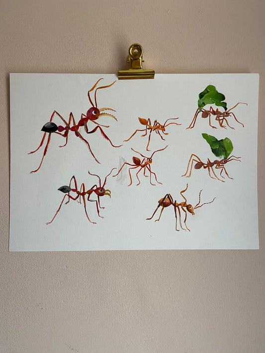 Art Sale - Lots of Ants - Original Mixed Media Illustration
