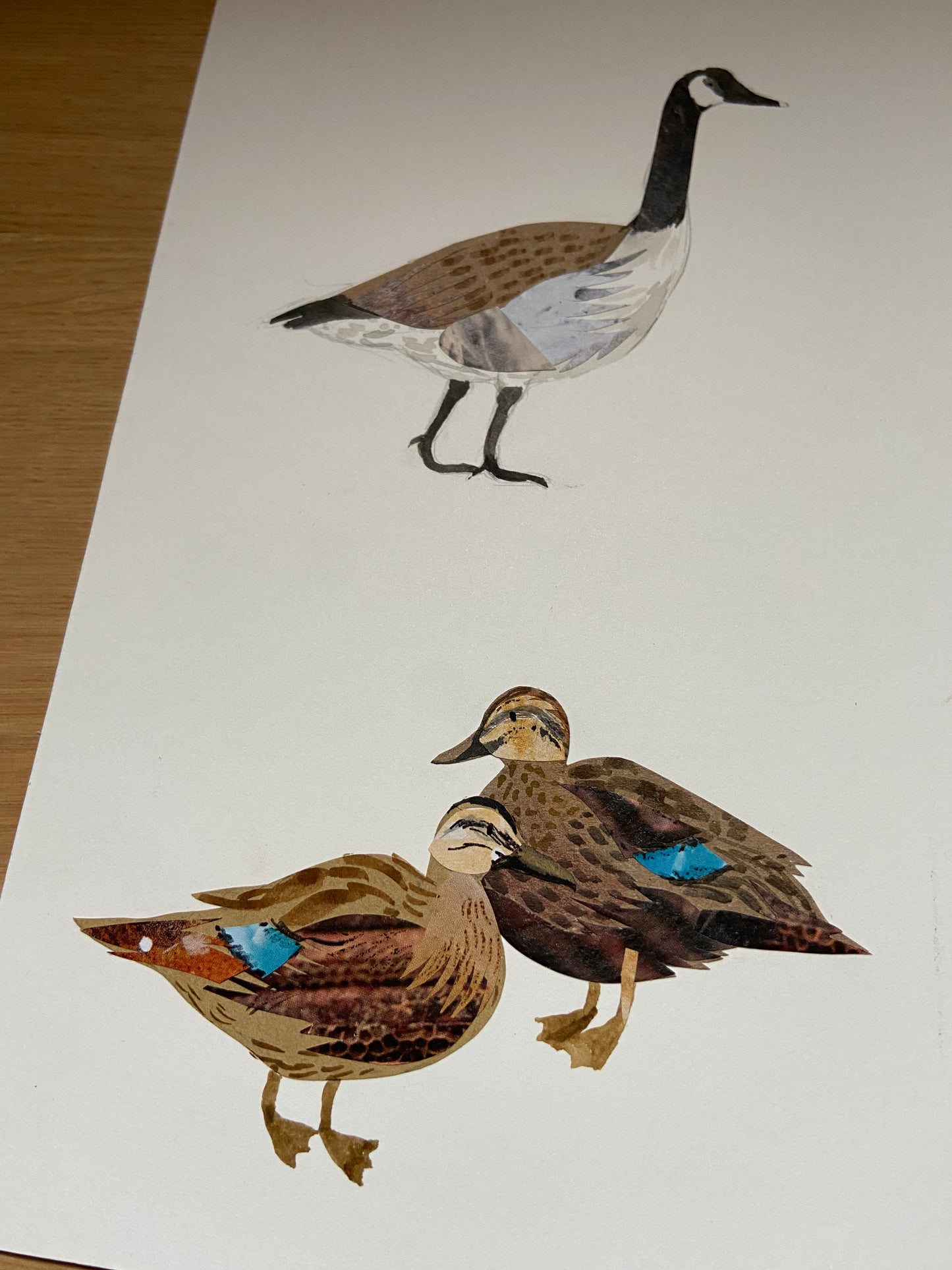 Art Sale - Water Birds - Original Mixed Media Illustration