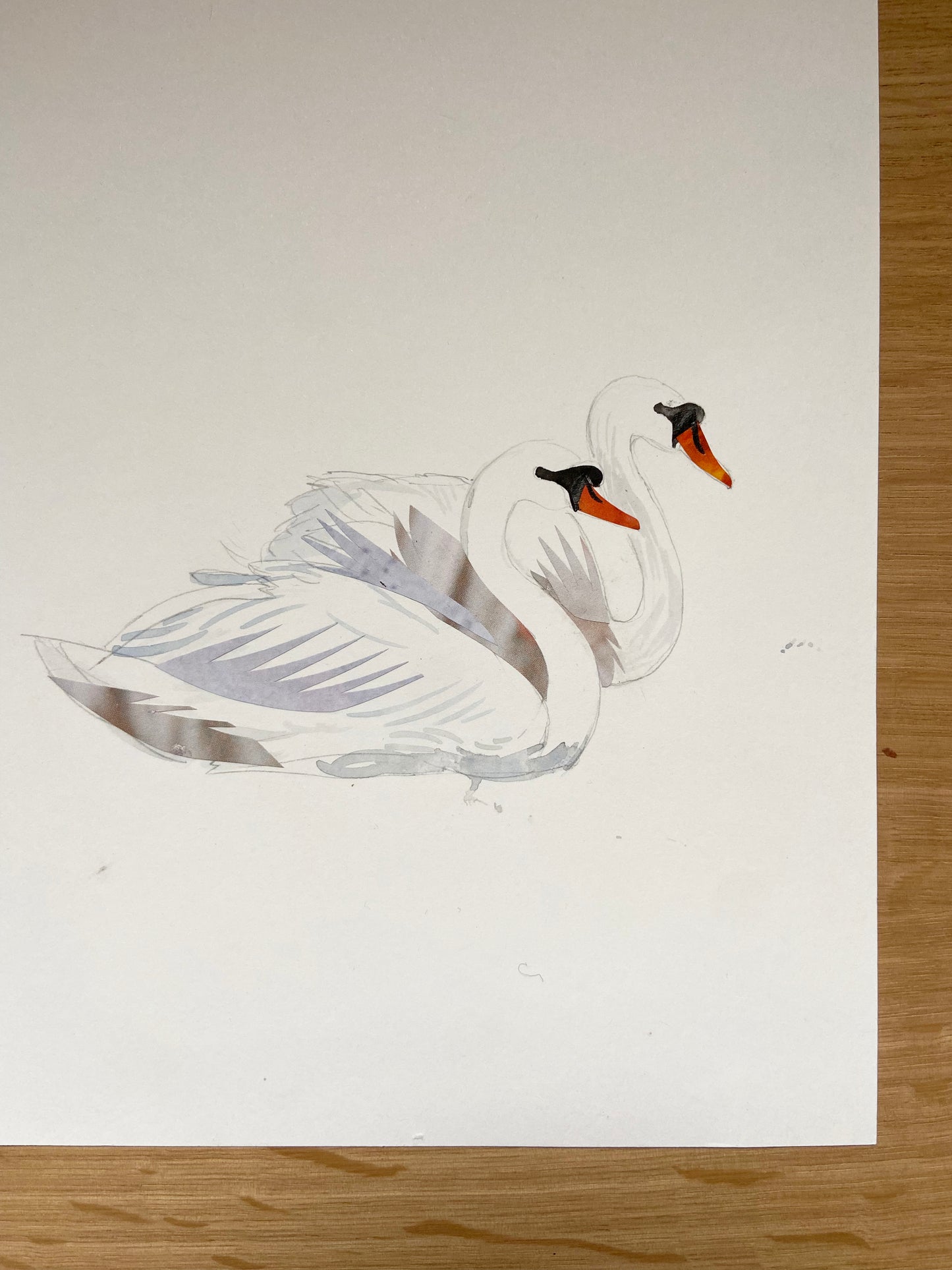 Art Sale - Water Birds - Original Mixed Media Illustration
