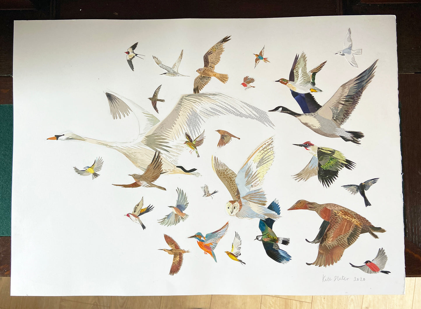 26 Birds Illustration Print